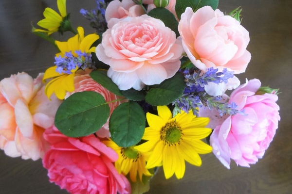 ピノ子の庭 バラ 花もちがよく丈夫な品種の数々