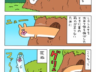 絶滅した動物ボゥのすべて「グラビティ」