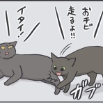 おそらくその平凡こそ幸せ　猫と私と家族の日常
