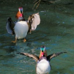 中川光学研究室ブログ