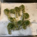 【画像】山さ行って山菜取ってきただ【天ぷら等】