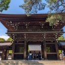 明治神宮に行ってきました