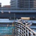 しがない庶民の独り言