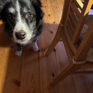 【季節のフルーツ】美味しすぎて家族は夢中！この美味しさの秘密は何？