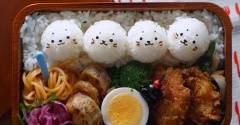しろたんの日