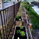 認定特定非営利活動法人静岡県CC緑化協会