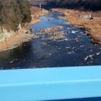 いつも居留守の　在氣呂（imasu_kero）のblog