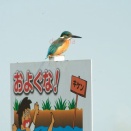 gooブロガーの落武者の一人