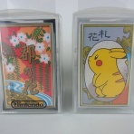 よぎぐれ＆ズルロアのポケモン日記