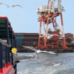 NPO法人はんどいんはんど東総のBLOG