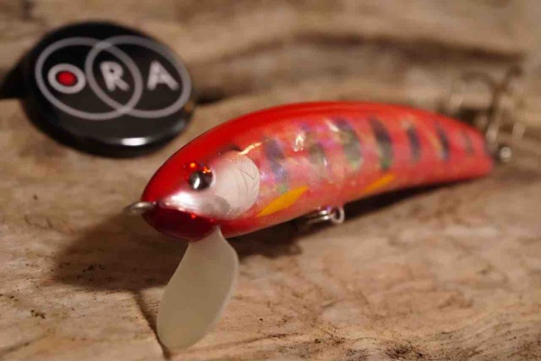 ORA Minnow Serendipity