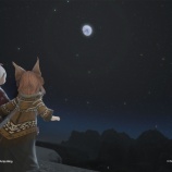『【FF14】大好きなアジムステップの夜空を相方ホロと堪能しました！【FFXIV】』の画像