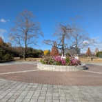 ZIL520と黒猫の日本旅