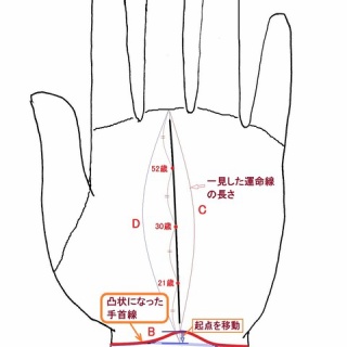 本真 弐望(似望)の幸せ手相探求