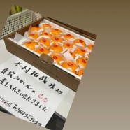 今年の運をトントントンと使い切ってしまった♪