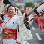 無手勝流～風の吹くままに～適当写真家 惟新斎ブログ～