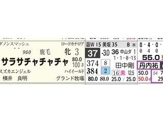【レース予想】函館２Ｒ・３歳未勝利
