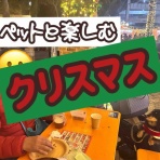 メルロコ一家の横須賀ストーリー