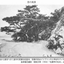 源河ペディア？