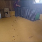 NPO犬猫みなしご救援隊・代表ブログ・みなしご庵へようこそ