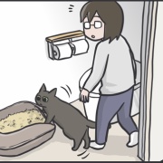 毎日が発見ネット掲載のお知らせ