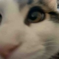 どんどんドアップ
