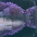 長野県安曇野市在住 KITAZAWAのブログ