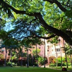 愉しい時間＠HAWAII