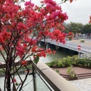 中山北站石岐大信新都匯希岸Deluxe酒店に対し、五つ星評価をしました