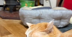 問題再発