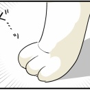 ねこ漫画＜それはわたしの＞