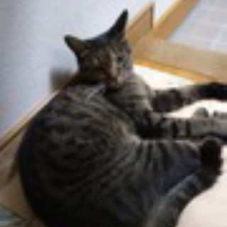 鶴田の部屋ブログ