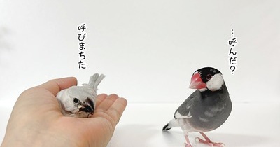 そうなんだぞ？