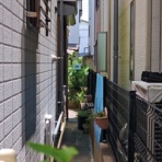 趣味の「写真、DIY、オーディオ」日記