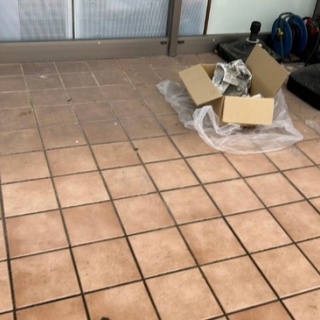 NPO犬猫みなしご救援隊・代表ブログ・みなしご庵へようこそ