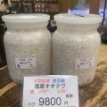 人気幼虫多数！