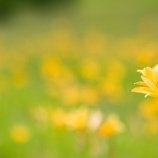 『母の自己満足』の画像