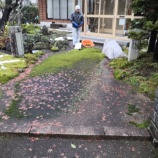 『苔の除去依頼とか便利屋さん』の画像