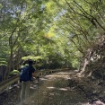 50代夫婦の山修行：新神戸から布引の滝、大龍寺と再度山、神戸北野へ降りる道