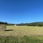北海道平取町の農家奮闘記