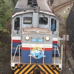 ＤＤパラダイスプレゼンツ Ｄ-ＲＨＡＰＳＯＤＹ☆