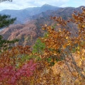 秋にまに合った　蒲生岳  2025
