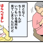 ちーちゃんっ🐾