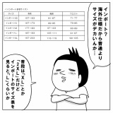 インポートサイズがむず過ぎる
