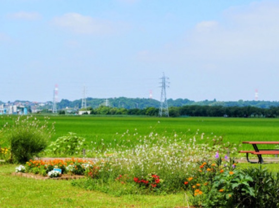 現千葉県民ワイ、埼玉が恋しくなる
