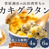 『ふるさと特産品　菅原商店の山田湾育ちのカキグラタン』の画像