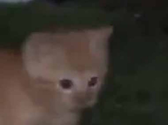 彼女が行方不明になった。１ヶ月後 → ３人の子供を連れて帰ってきた…