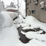 気分吟醸の河は流れて