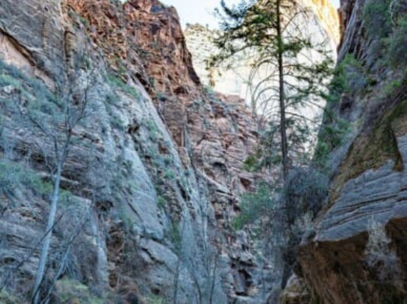 【北アルプス】どういう事？登山ブームきてんの？何でこんな駐車場が混むわけ？