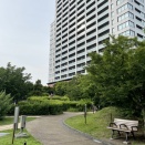 クチナシは変わった匂いだった　その２